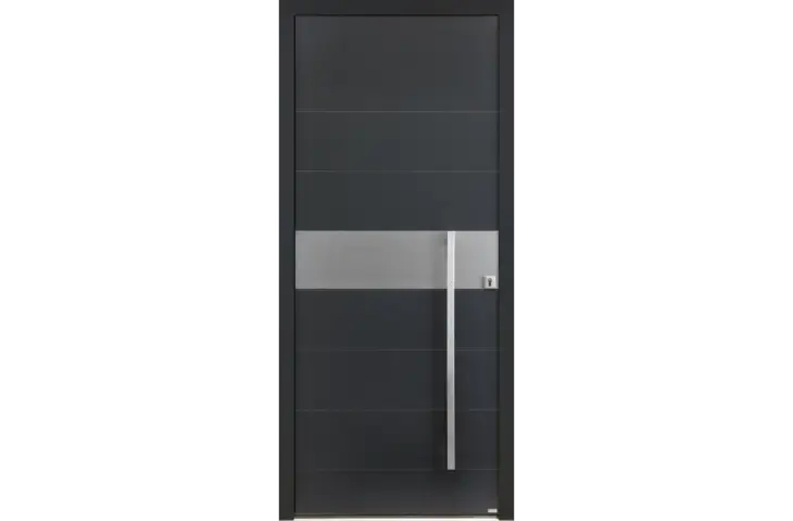 Porte grande largeur insert horizontal