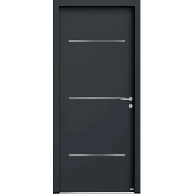 Porte pleine 3 inserts inox