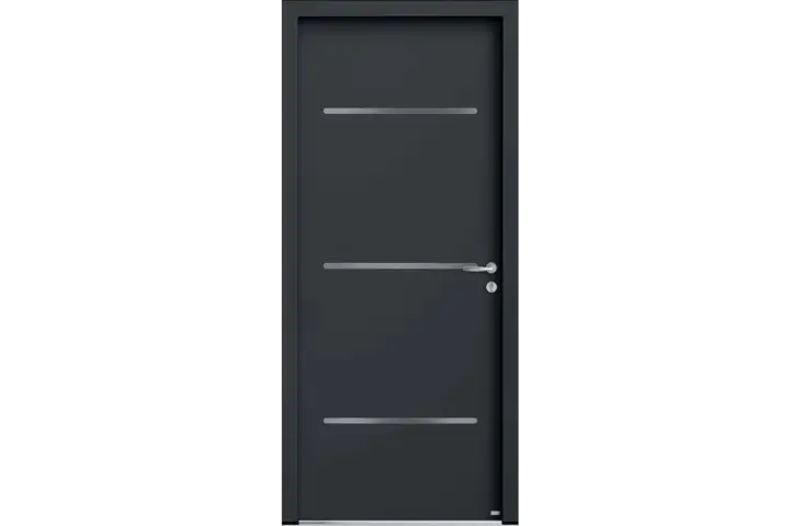 Porte pleine 3 inserts inox