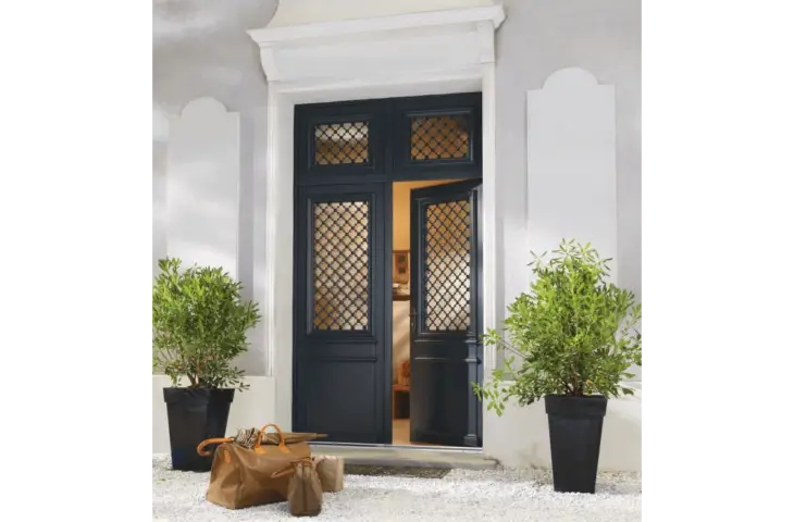 Porte vitrée et grille décorative – Image 4