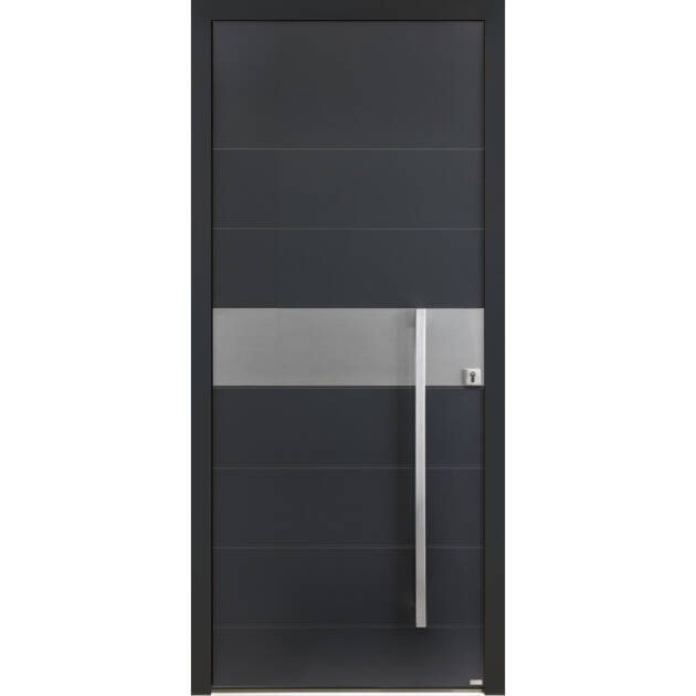 Porte grande largeur insert horizontal