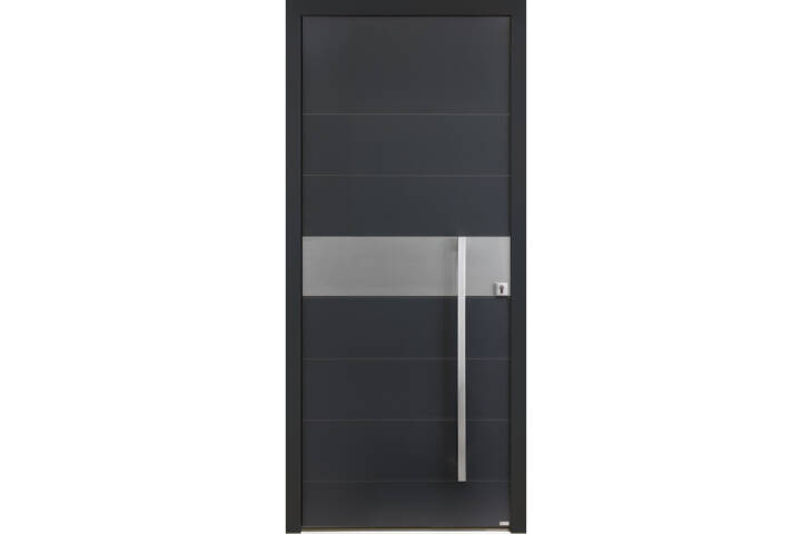 Porte grande largeur insert horizontal