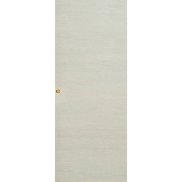 Porte intérieure coulissante contemporaine