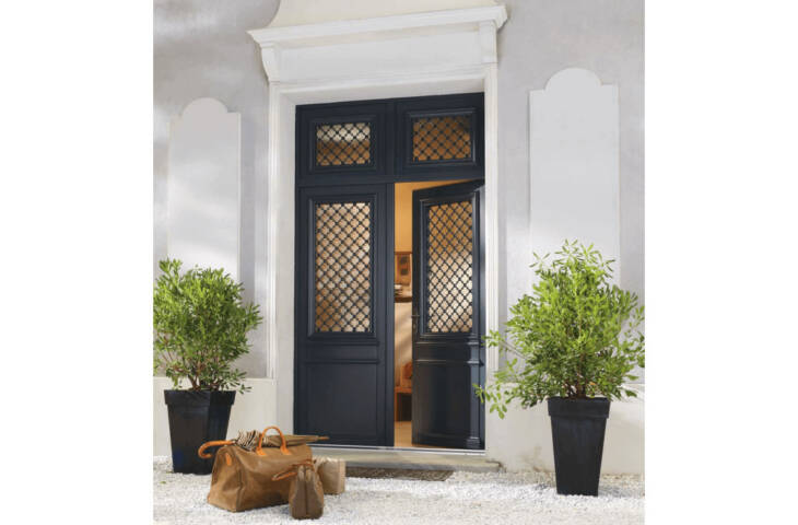 Porte vitrée et grille décorative – Image 5